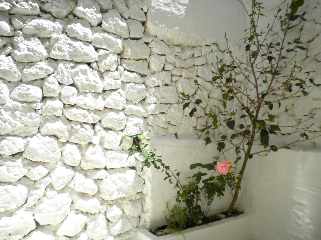 Kostas Studios II Vasilikí Exteriér fotografie